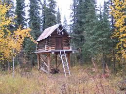 cabin on stilts