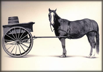 cart-before-horse