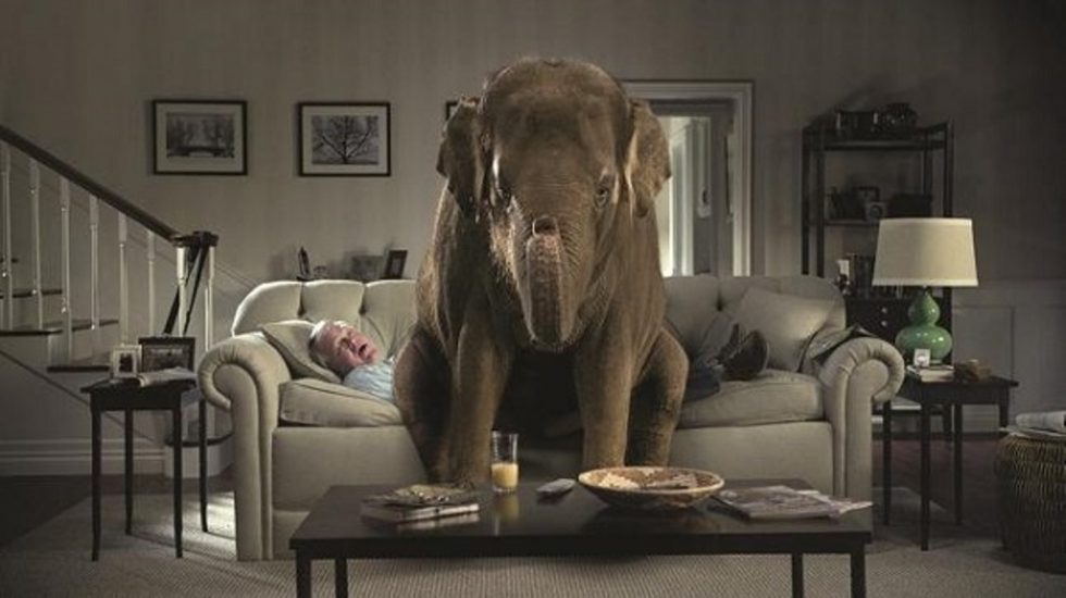Elephant in room