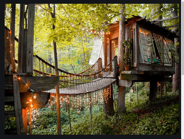 Airbnb treehouse with lights cr